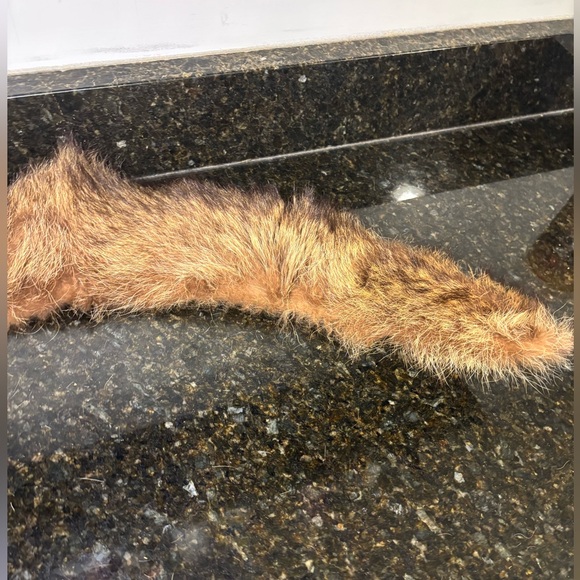 Vintage 1950s Fur Stole or Coat Collar - Picture 3 of 8